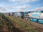 RUMO 9895